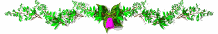 tsetseg.gif