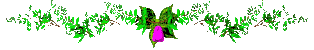 tsetseg1.gif